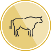 beef_icon