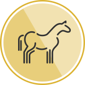 equine_icon